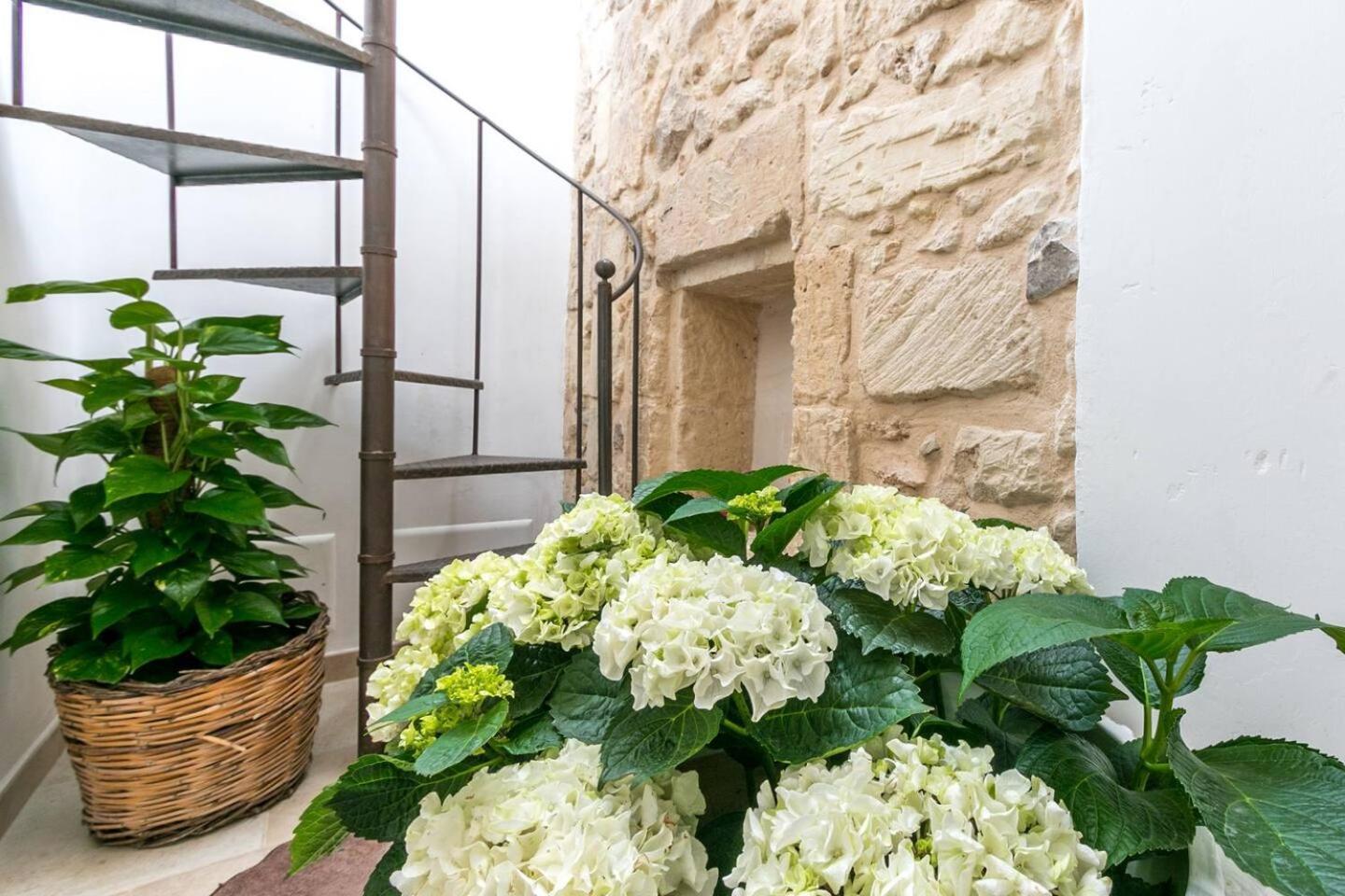 Caminanti Bed and Breakfast Lecce Eksteriør billede